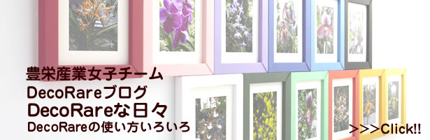DecoRare�u���O�wDecorare�ȓ��X�x